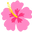 NOTTATTO logo